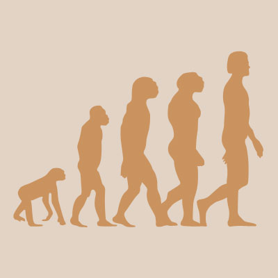  Darwin 